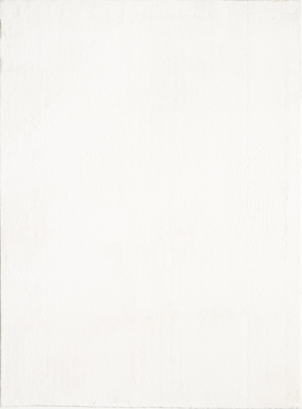 Tappeto lavabile morbido elegante, crema, 300 x 400 cm