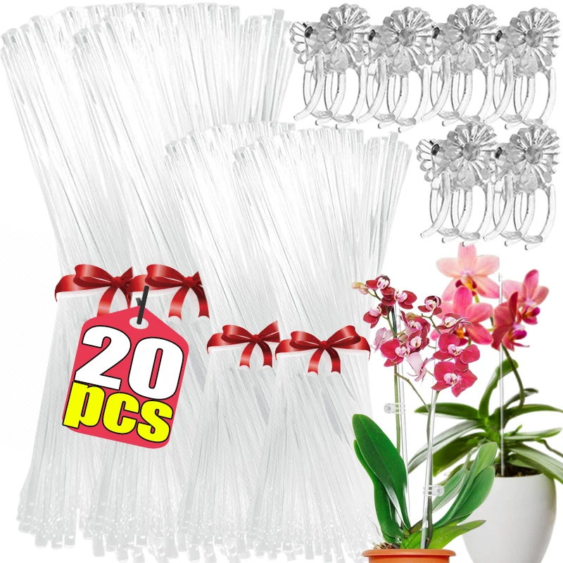 3-20 Stück Blumenstützstäbe aus Acryl, Garten-Pflanzenstäbe, Einzelstiel-Orchideen-Fixierstäbe, für Topfpflanzen, Gemüse, Tomaten, Dessertkakies, Dekoration Image