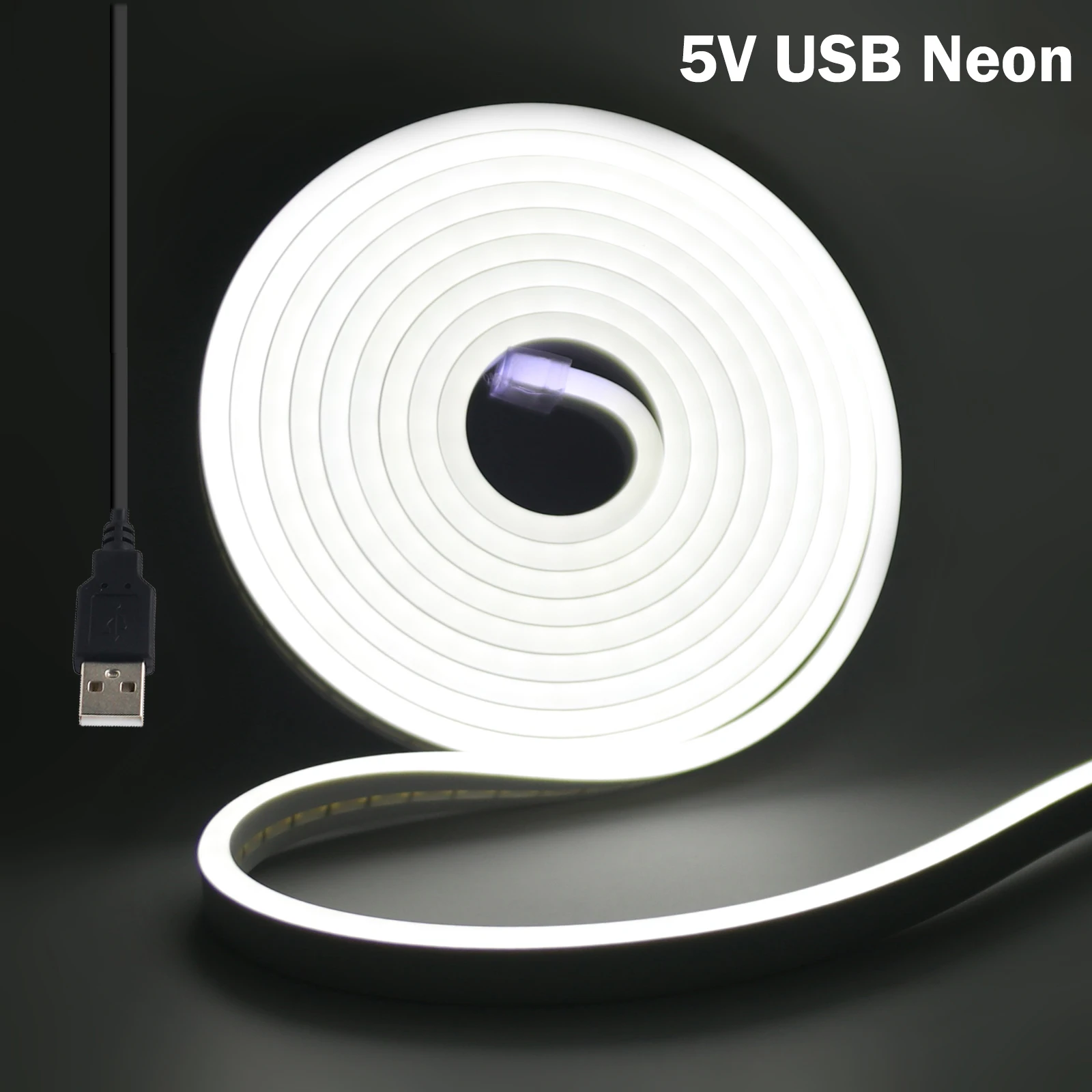USB-Neon-LED-Streifen, 5 V, 2835, 120 LEDs/m, wasserdicht, flexible Lampe, Neon-USB-Band, Weiß, Rot, Grün, Eisblau, Rosa, Gelb, für Heimdekoration Image