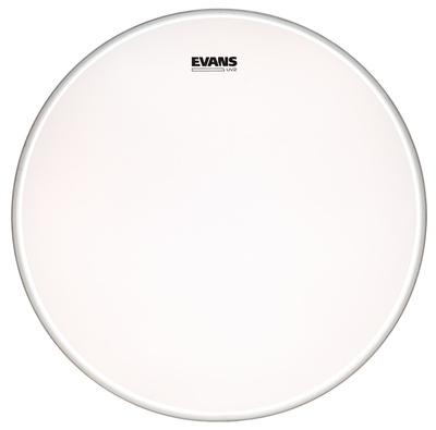 Evans 22" UV2 Coated Bass