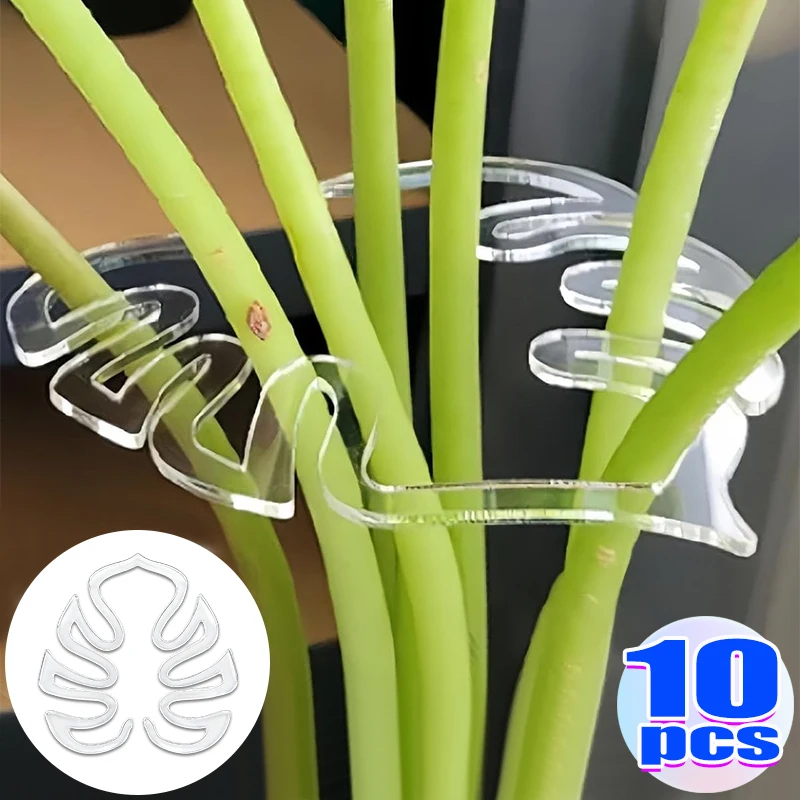 Acryl Transparent Pflanzen Unterstützung Clip für Guibeizhu Bambus Indoor Garten Stem Befestigungs Halter Anti Lodging Gartenarbeit Zubehör Image