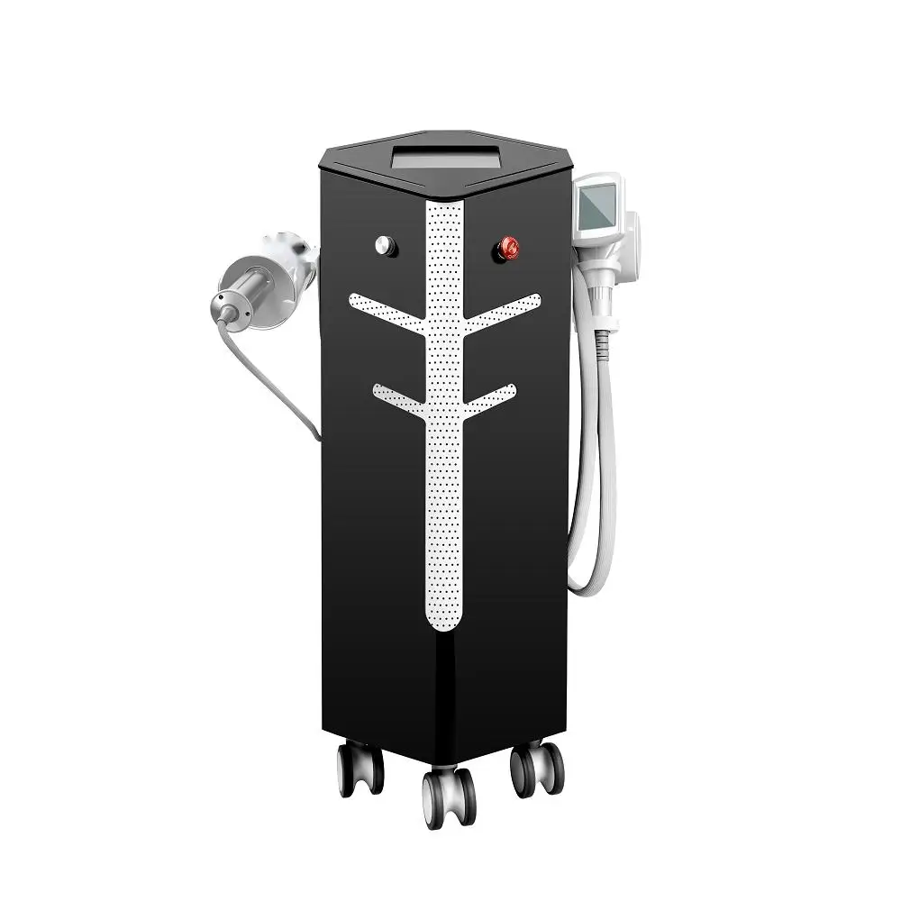 Professionelle LPG Vela Körperform Roller Physiotherapie Roller Technologie beseitigt Schmerzen Anti-Cellulite Körper Abnehmen Maschine Image