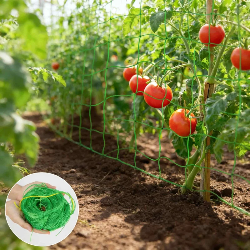 Hochbelastbares Garten-Kletternetz für Gurken, Luffa und Schuppenblumen - Spezielle Pflanzenkletterstütze aus Nylon Image