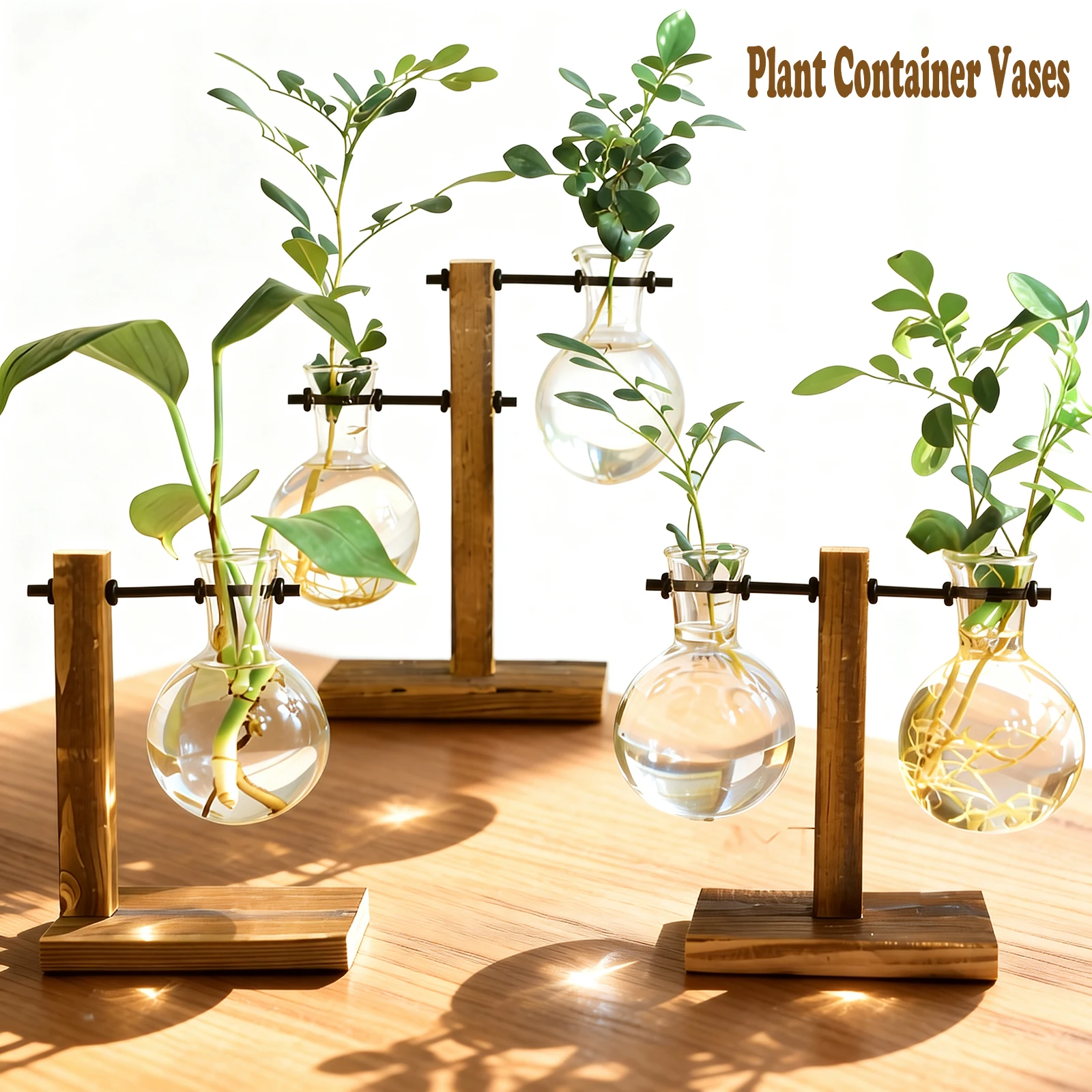 Glas-Tischpflanzgefäß, Blumenvase, Pflanzenvermehrungsstationen, Pflanzenterrarium, Zimmerpflanzen, Heim- und Büro-Schreibtischdekoration, Garten-Geschenke Image