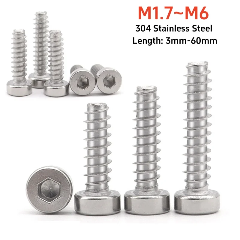 Innensechskantschraube aus Edelstahl 304, selbstschneidende Innensechskantschraube, flacher Schwanz, M1,7, M2, M2,3, M2,6, M3, 5 M4, M5, M6, Innensechskantschraube Image