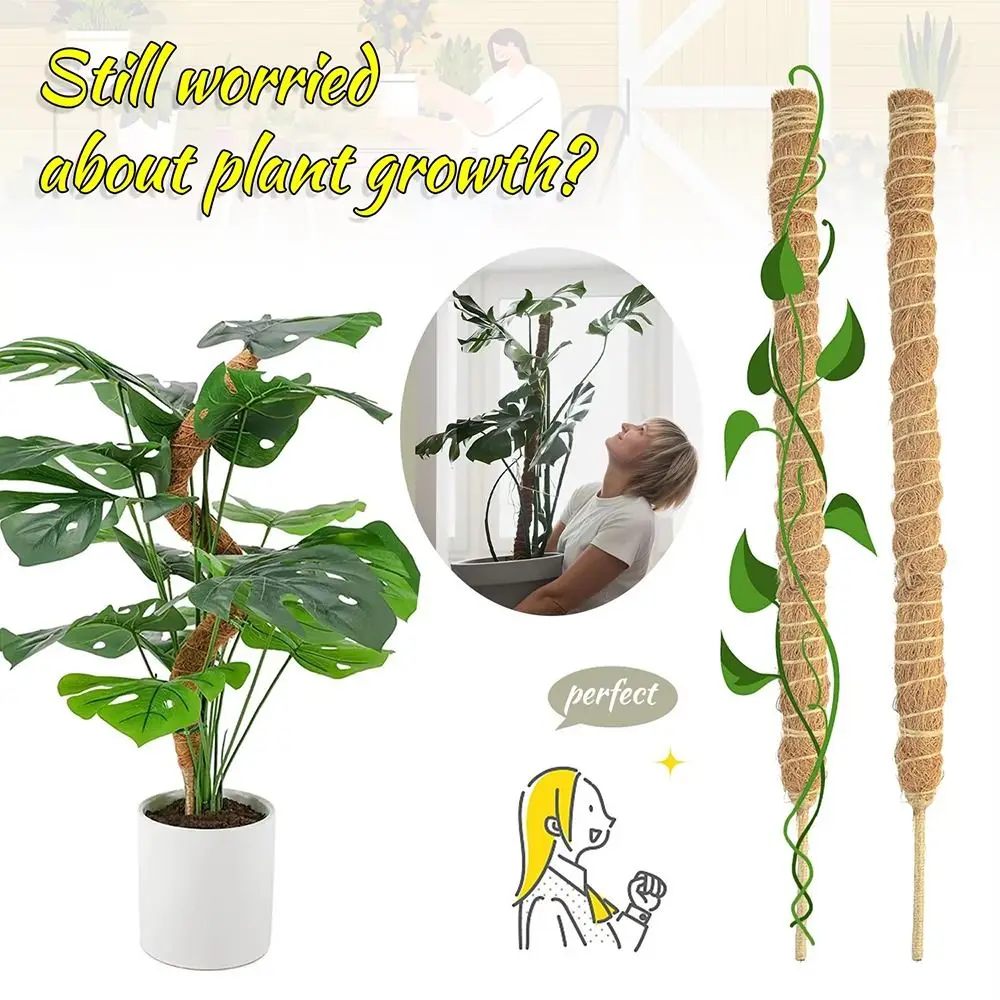 60/110 cm Biegbare Pflanze Klettern Palm Cane Gartenarbeit Kokosnuss Stange Stretch Klettern Stange Indoor Plant Creeper Kokos Totem stangen Image