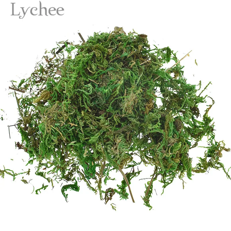 Lychee Leben 10g Künstliche Halten Trockene Grüne Moos Simulierte Grüne Pflanze Garten Blumentopf Dekoration Image