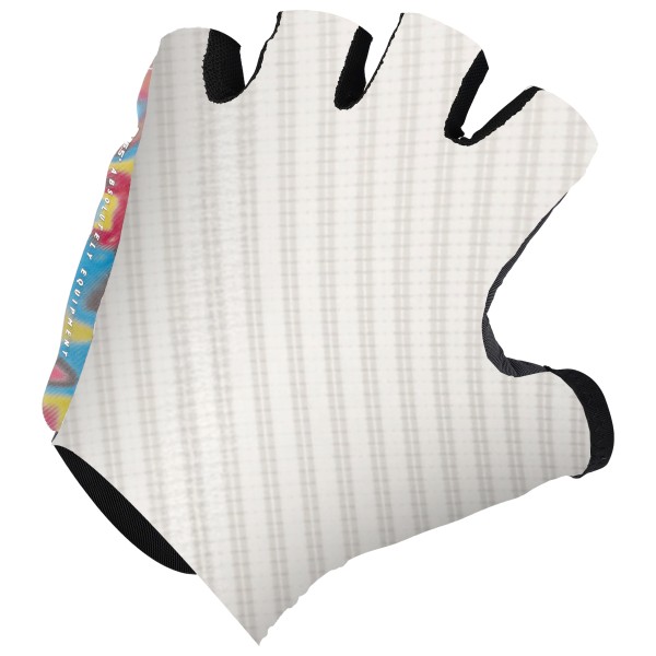 Q36.5 - Dottore Clima Gloves - Handschuhe Gr Unisex M weiß