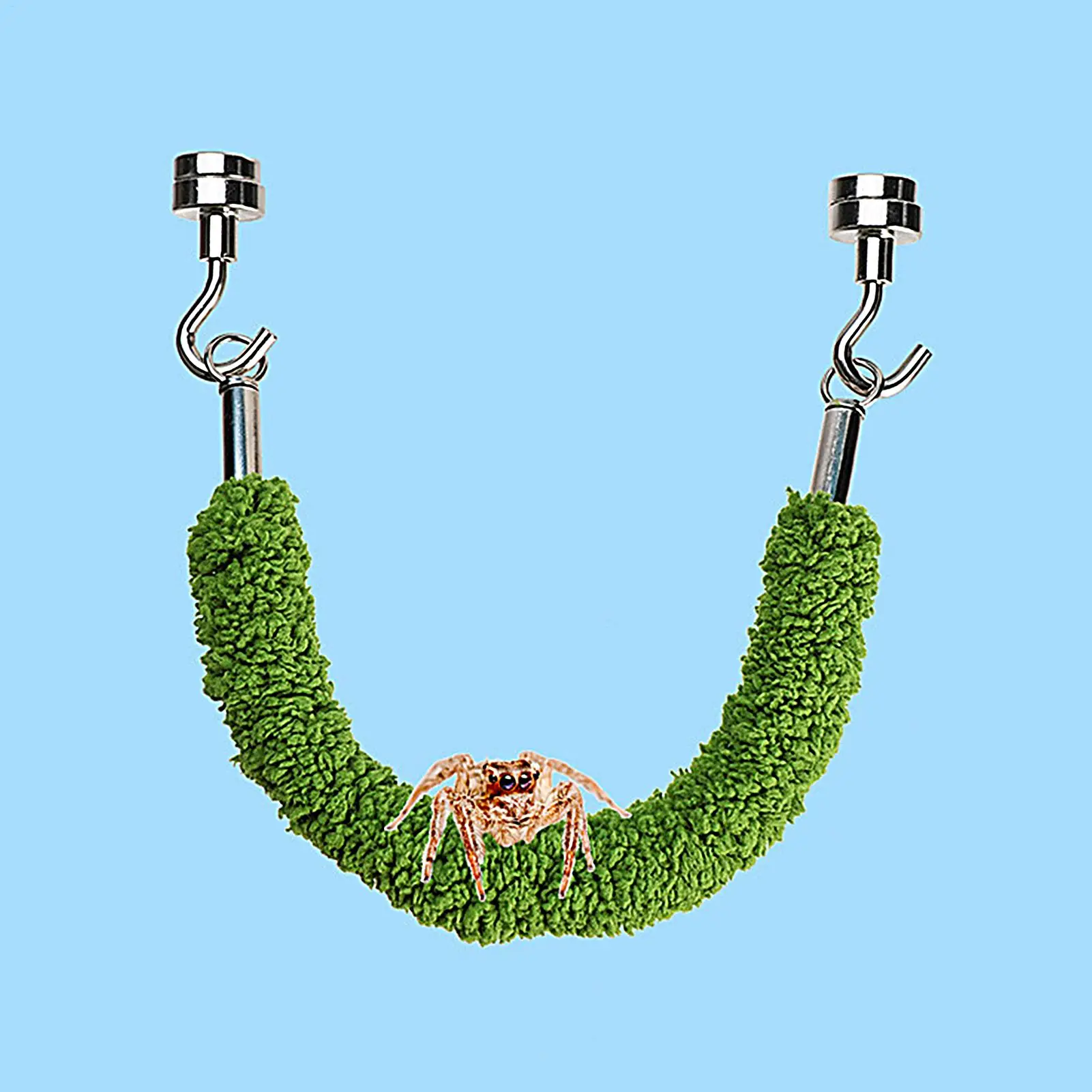 Kletterbrücke für Springspinnen und Einsiedlerkrabben, Schaukel für Spinnen/Geckos, Kletterleiter für Terrarium Image