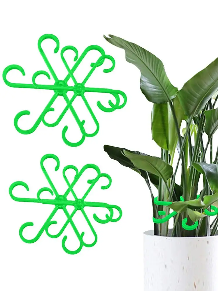 4 Stück Gartenstützklammern für Alocasia Monstera, um die Pflanze aufrecht wachsen zu lassen und als Pflanzenstütze für Alocasia Monstera-Blätter zu verwenden Image