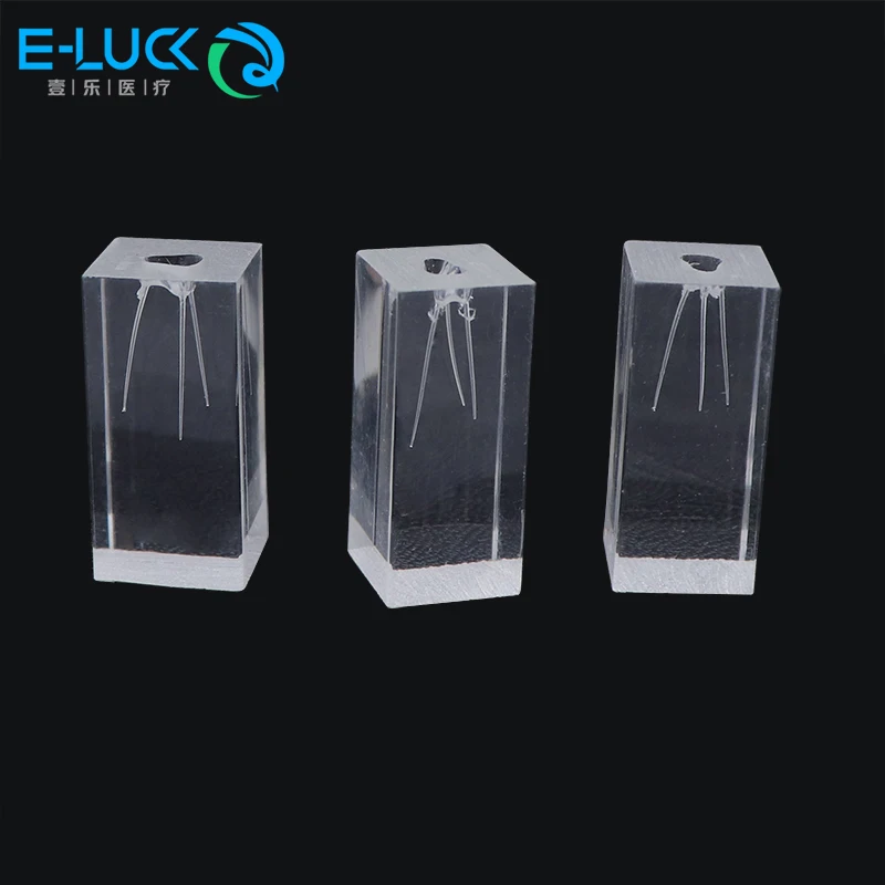 Zahnwurzelkanal Praxis Block Studie Modell RCT Zellstoff Hohlraum Studie Praxis Endo Zähne Zahnmedizin Student Studie Lehre Image