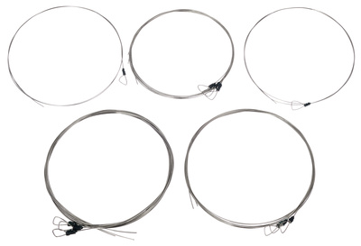 Svaram Svaraveena Strings Set