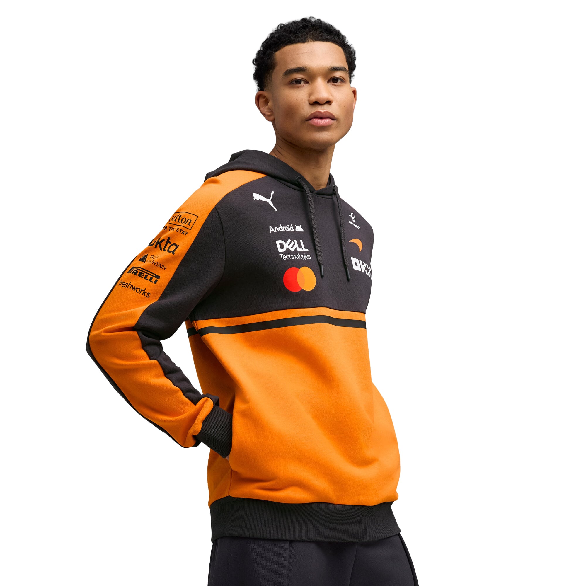 Pullover - F1 Store DE