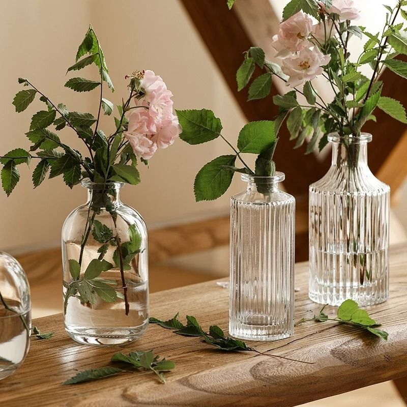 Mini Transparent Nordic Glass Vase High Performance Hydroponic Plant Vase & Modern Living Room Ornament s5