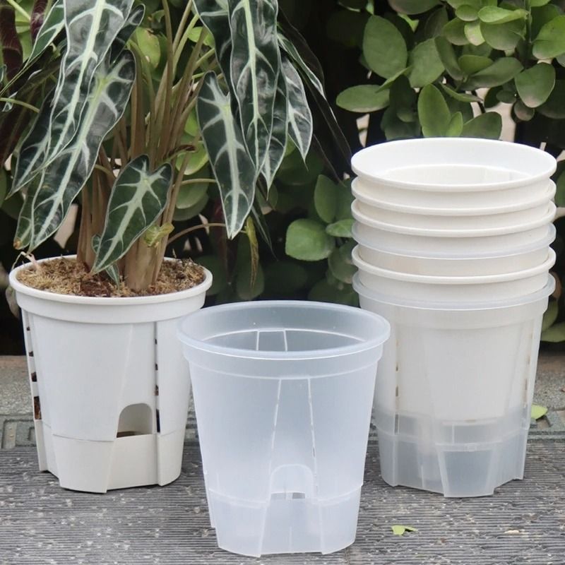 Transparent Self Watering Plant Pot High Performance Plastic Planter With Precision Drainage Holes s1 S