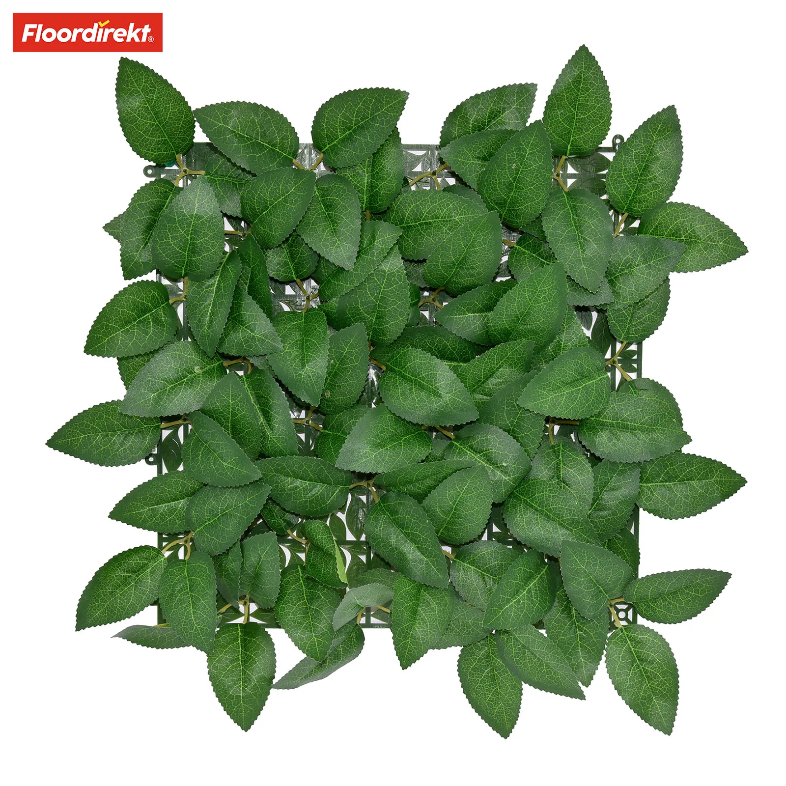 FLOORDIREKT Pflanzenwand Big Rose Leaf - Kunstpflanzen zur Wandmontage - Künstliche Pflanzen-Deko für Wand, Balkon & Garten Image