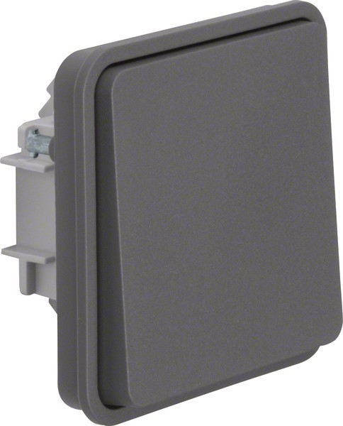 Berker Taster-Einsatz mit Wippe 50453515 Image