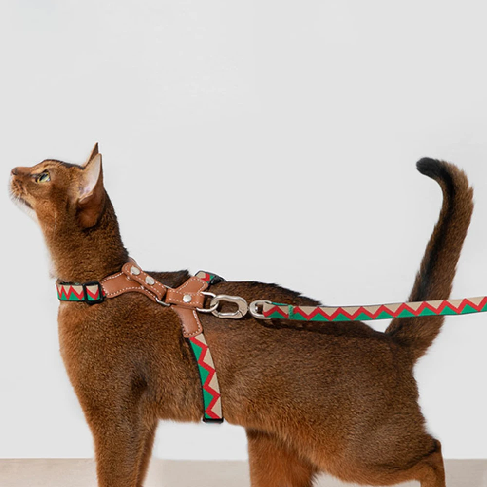 Set aus Geschirr für kleine Hunde, Halsband und Leine, verstellbar, kein Ziehen, Haustiergeschirre, kein Aussehen, weiche Netz-Stufenweste für Welpen, mittelgroße Haustiere Image