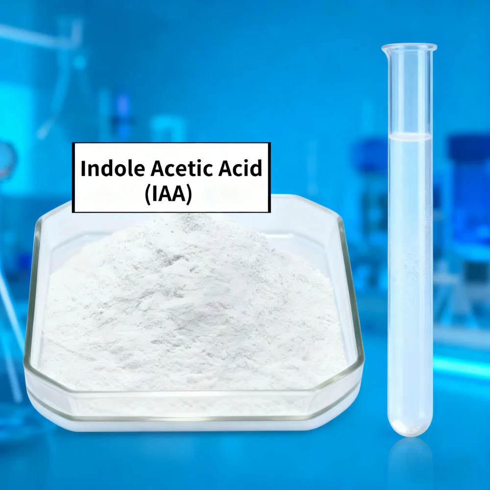 10 Gramm – 1 kg Auxin Indole Essigsäure ( IAA) Pflanzenwachstumshormon Image