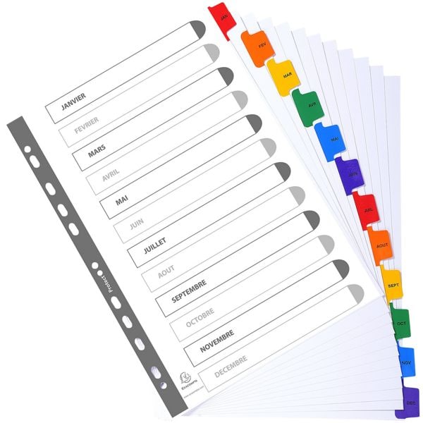 EXACOMPTA 20x Kartonregister Jan.-Dez. (12-teilig) A4 mit Deckblatt, 22.5x29.7 cm Image