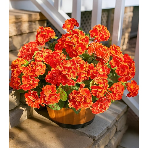 6 Bündel künstliche Geranien für die Außendekoration, UV-beständige Seidengeranien, die wie echte Pflanzen aussehen, für Haustür, Garten, Veranda, Pflanzkübel, Terrasse, Balkon, Hof und Innenbereich. Image