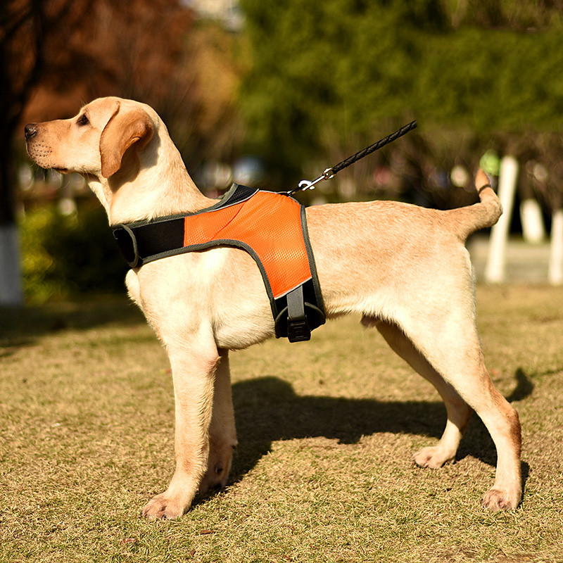 Cross Border New K-type Luminous Led Carrying Strap Pet Dog Chest Carrying Strap Pet Supplies For Large And Medium Sized Dogs For Night Travel