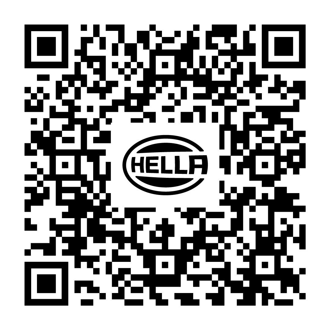 HELLA 8mv366435181 Image
