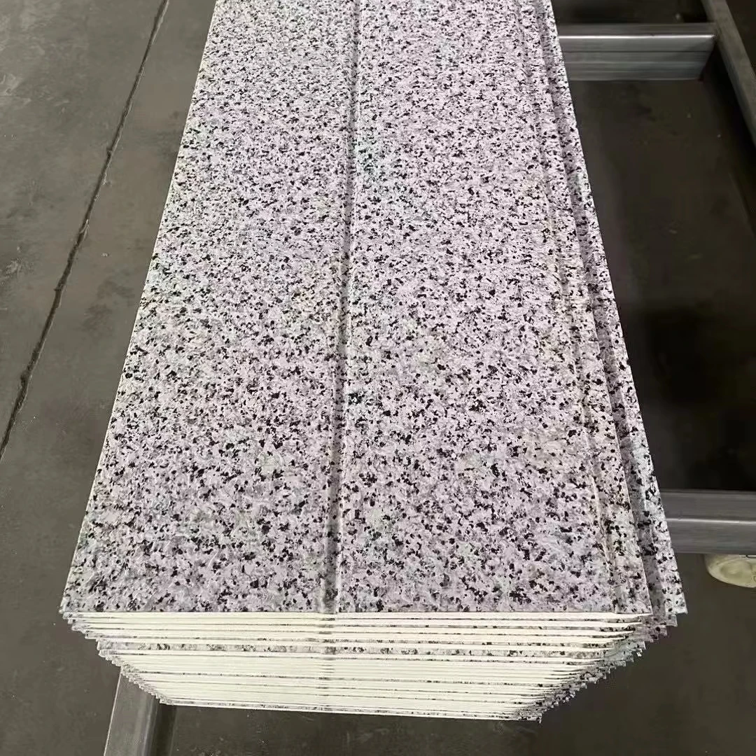 Icf blocco PU Concreteroof piastrelle esterno magazzino parete esterna pannello Sandwich pannello in legno Wpc Eps pannello Sandwich