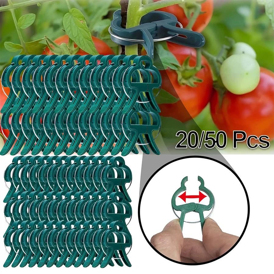 Pflanzenclips für Kletterpflanzen, Tomaten- und Gartenclips zur Rankenunterstützung, Pflanzenstützclips für Tomaten und Gartennutzung Image