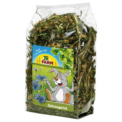 2 x 500g JR Farm Spitzwegerich