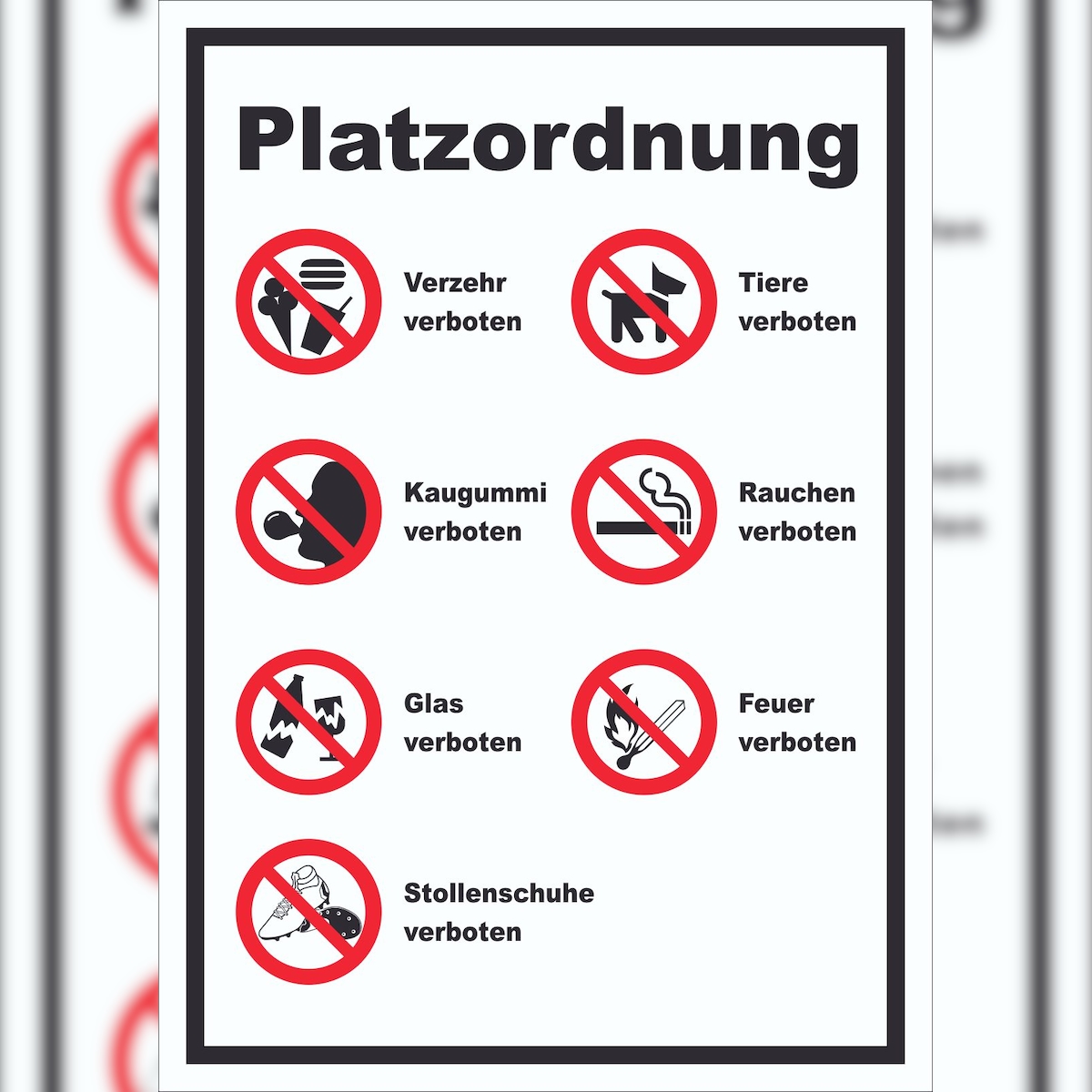 HB-Druck Schild Platzordnung hochkant A2 (420x594mm) Image