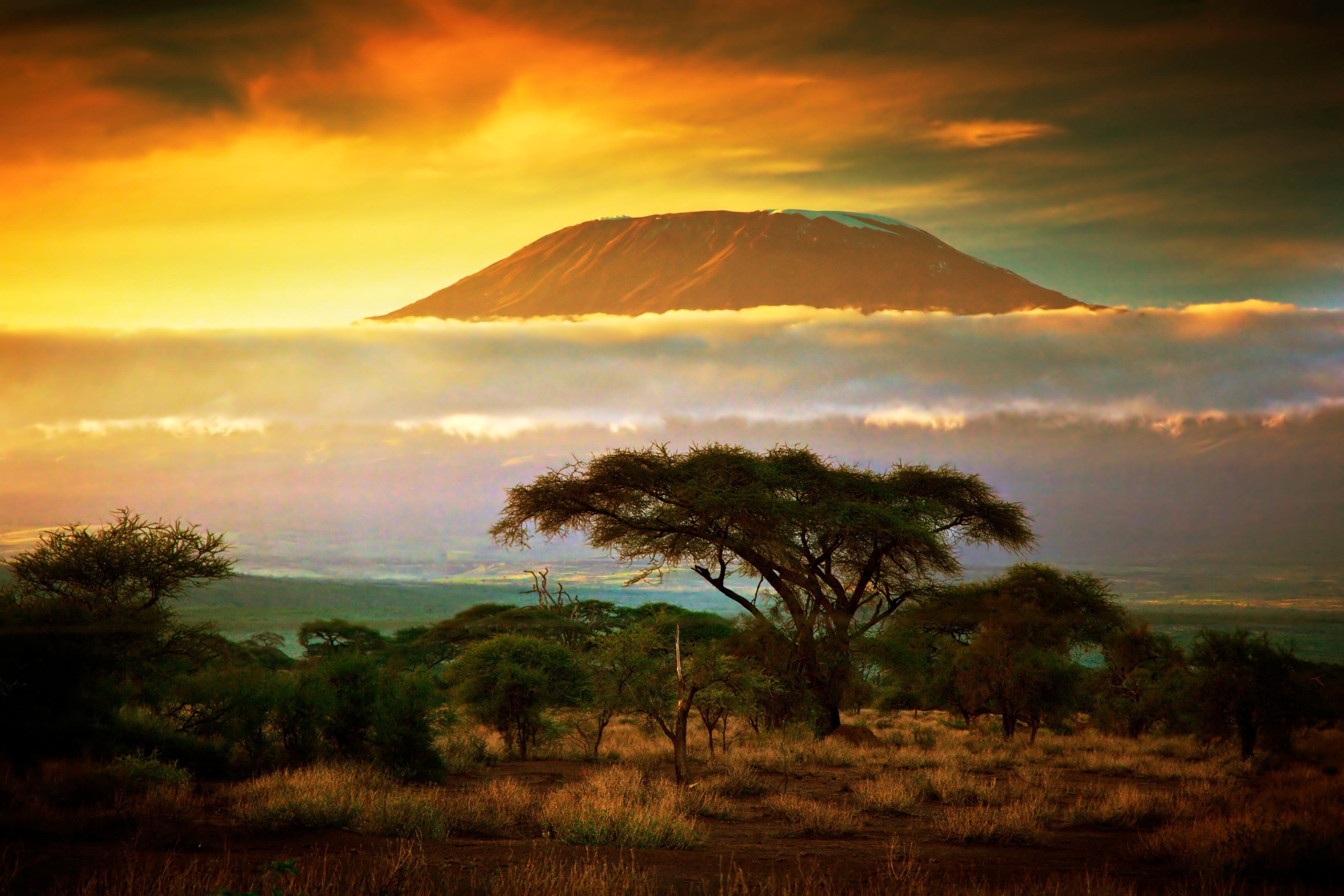Fototapete PAPERMOON "Mount Kilimanjaro and Clouds", bunt, B:2,5m L:1,86m, Vlies, Tapeten Image