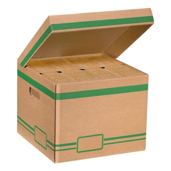 cartonia Klappdeckel-Container »Mini« (1 Stück) inkl. 4 Archivschachteln braun, 35x26x35 cm