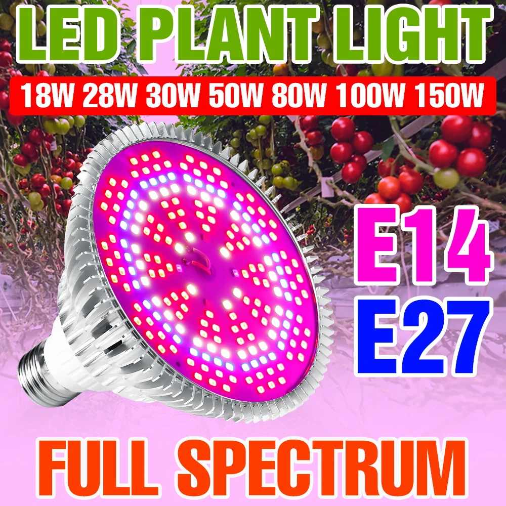 150W E27 Vollspektrum Pflanzenlampe LED für Indoor Hydroponik Wachstumsbox E14 Gewächshauszelt Gemüse Obst Sukkulenten Samen Kultivierung