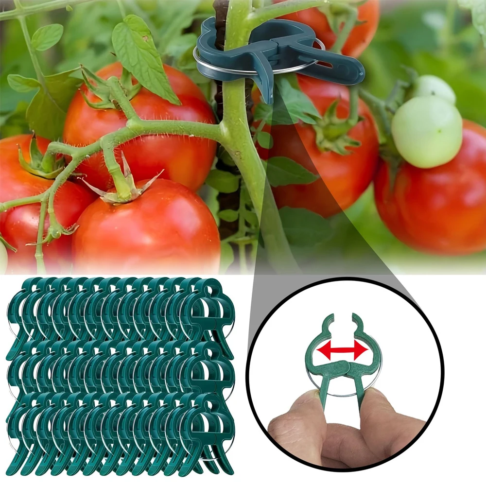 Pflanzenclips Gartenrankenhalter Fixierte Stützclips für Kletterpflanzen Orchideen Blumen Gemüse Gartenzubehör Image