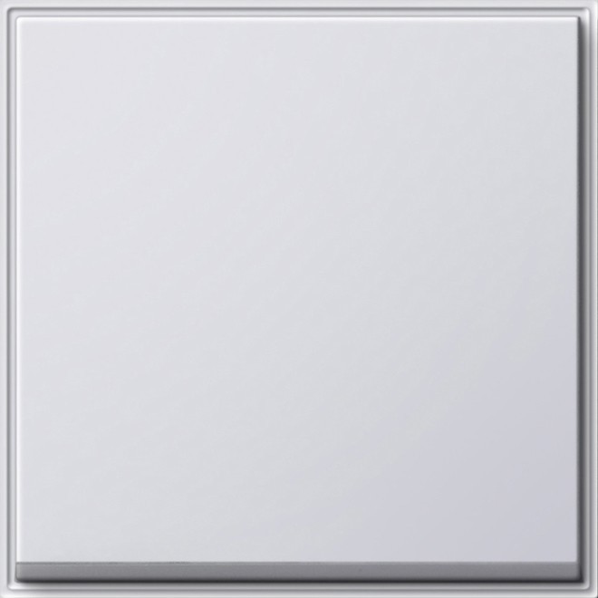 Gira Wippe Wechselsch. rws 029666 Image