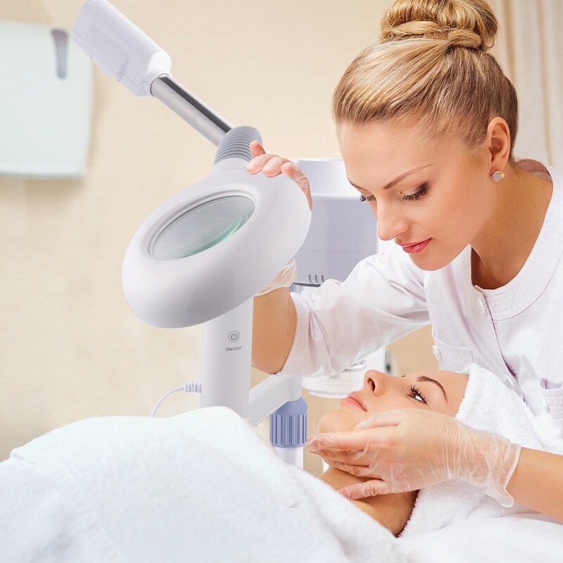 2 in 1 Touch Screen Facial Steamer with 3X Magnifying Lamp for Home Beauty Salon, Personal Skin Care Deep Cleaning - N/A