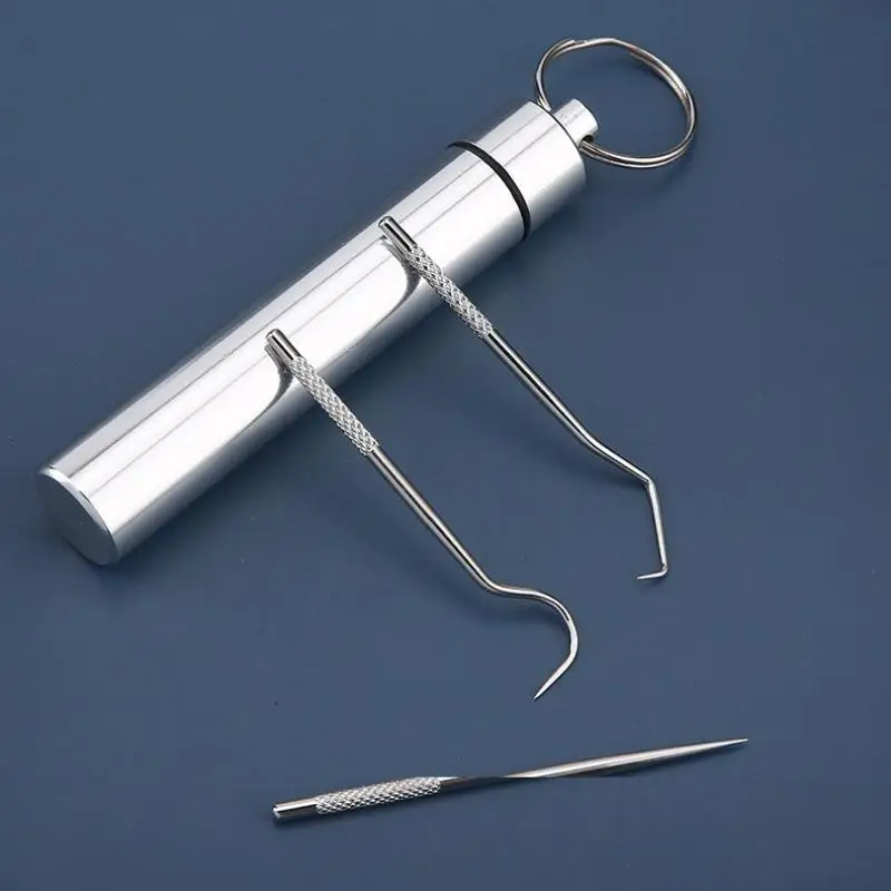 Zahnstocher-Set aus Edelstahl, wiederverwendbare tragbare Zahnstocher, Zahnseide, Zahnreiniger, Mundreinigungswerkzeug für Zuhause und auf Reisen Image