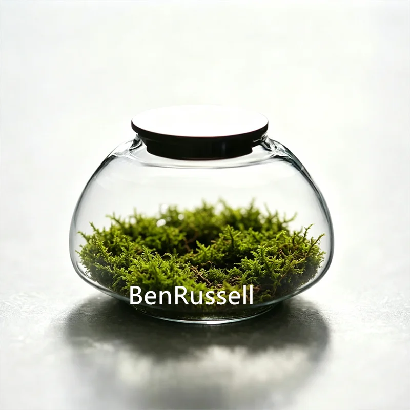 Moos-Mikrolandschaft Kleine Glasflasche mit Deckel Pflanzenterrarium Glasbehälter Vase Heimdekoration für Grünpflanzen Image
