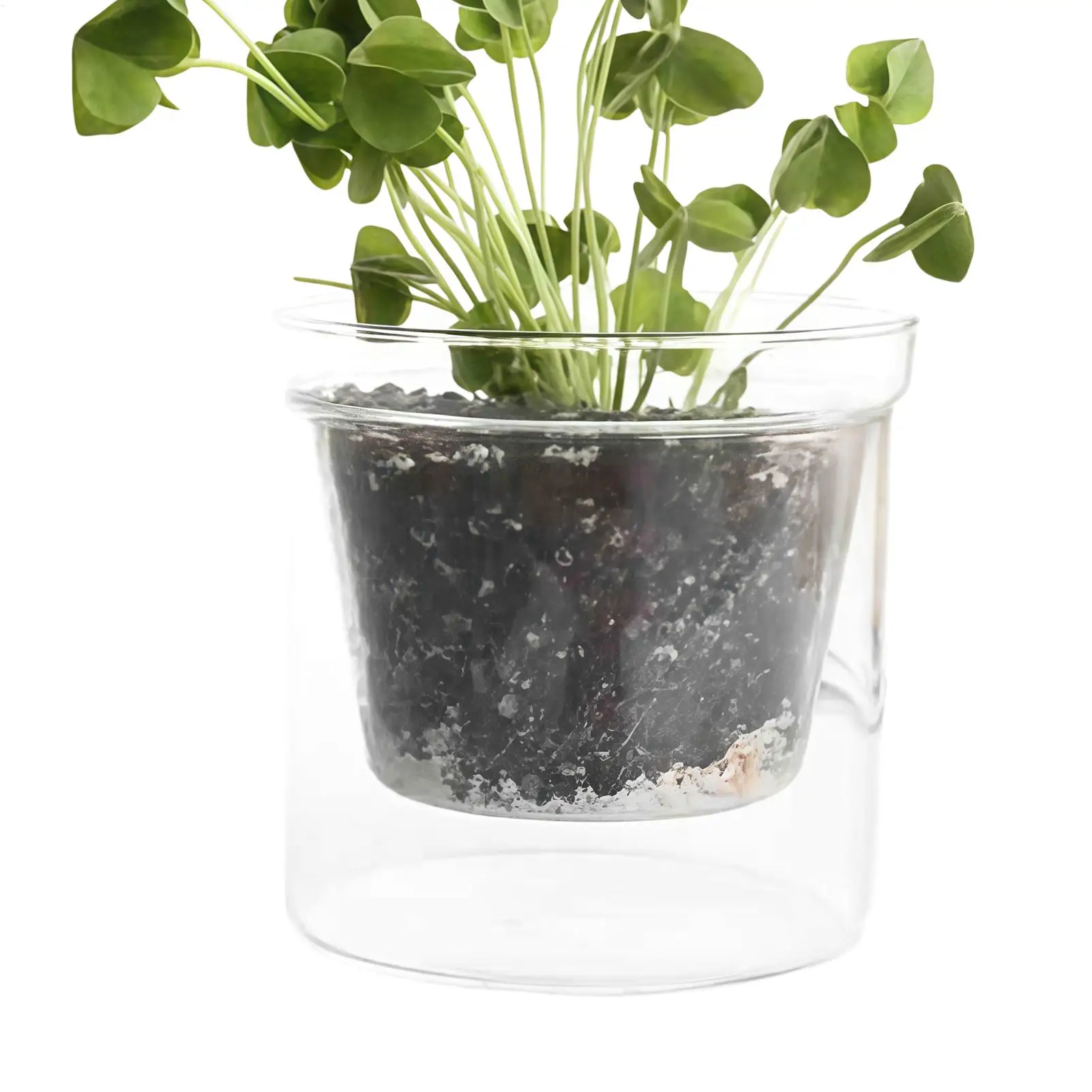 Topf für Zimmerpflanzen, doppelwandiger Pflanzbehälter mit Reservoir, Blumentöpfe für Zuhause, Wohnung, Büro, Wohnheim Image