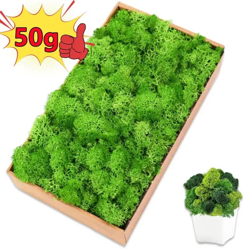 Artificial Moss Mini Landscape Decor Realistic Fake Greenery For DIY Crafts & Home Garden Decoration 7 10g