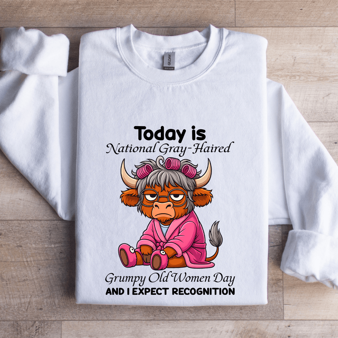 Today Is National Gray Haired Grumpy Old Women Day Sweatshirt M Sport Grey