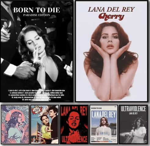 Lana Del Rey Aesthetic Poster Album Cover Canvas Wall Art 12 30x40cm No Frame