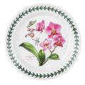 Portmeirion 520240 Exotic Botanic Garden - 6" Bread and Butter Plates - Set o, Red,white