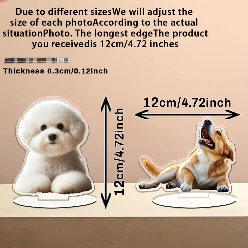 1 Stück personalisiertes Foto-Acrylschild, anpassbare Familien- und Tierfotos, doppelseitig bedrucktes, hochtransparentes Schild. Image