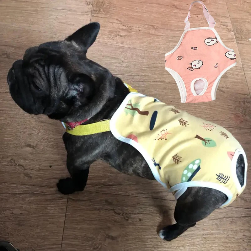 Verstellbare französische Bulldogge Haustier Schulter gurt physio logische Hose wasch bare weibliche Hund Unterwäsche Sicherheits hose Maskottchen Shorts Image