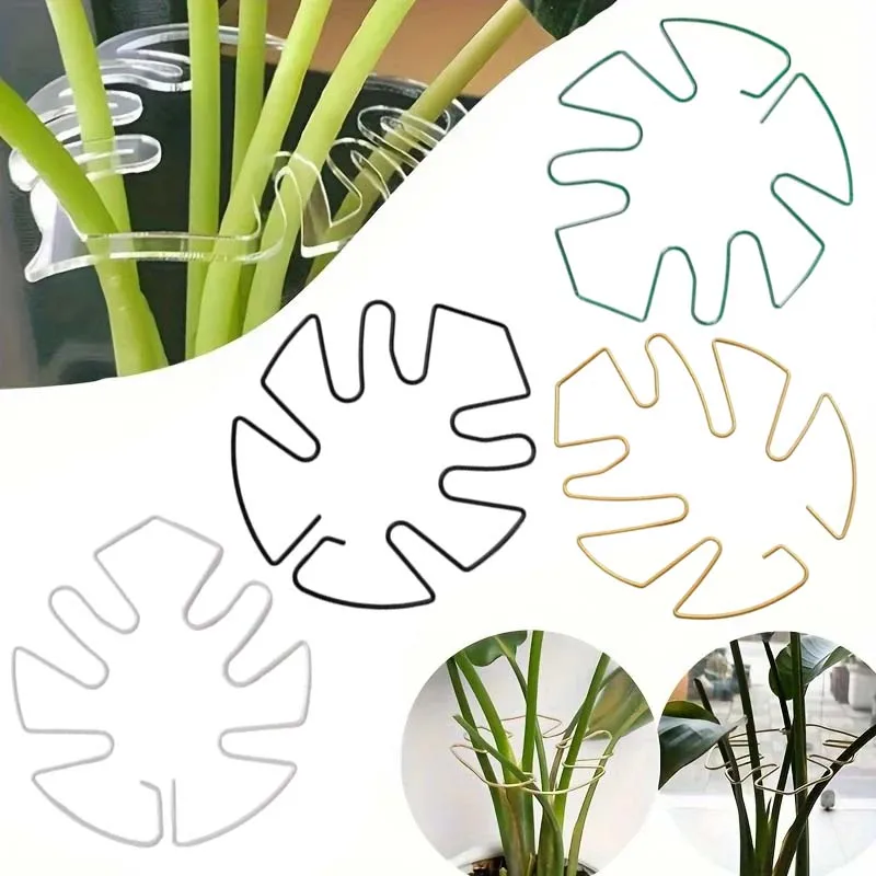 Pflanzenstabilisator-Pflanzenhalter zur Unterstützung von Monstera und Blumen Pflanzenstütze Image
