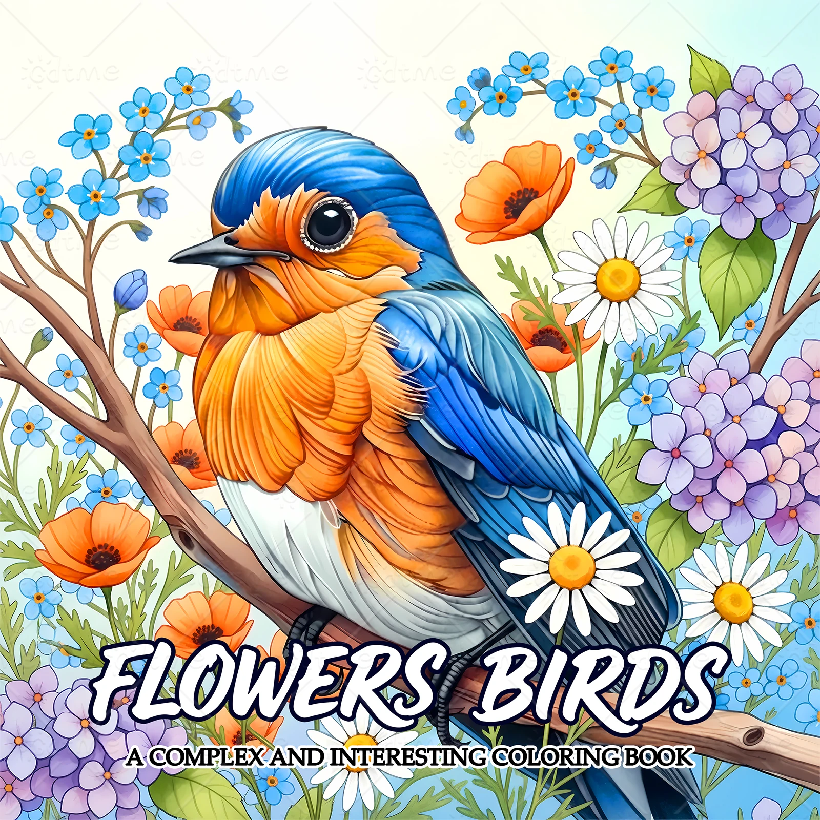 Card image cap
