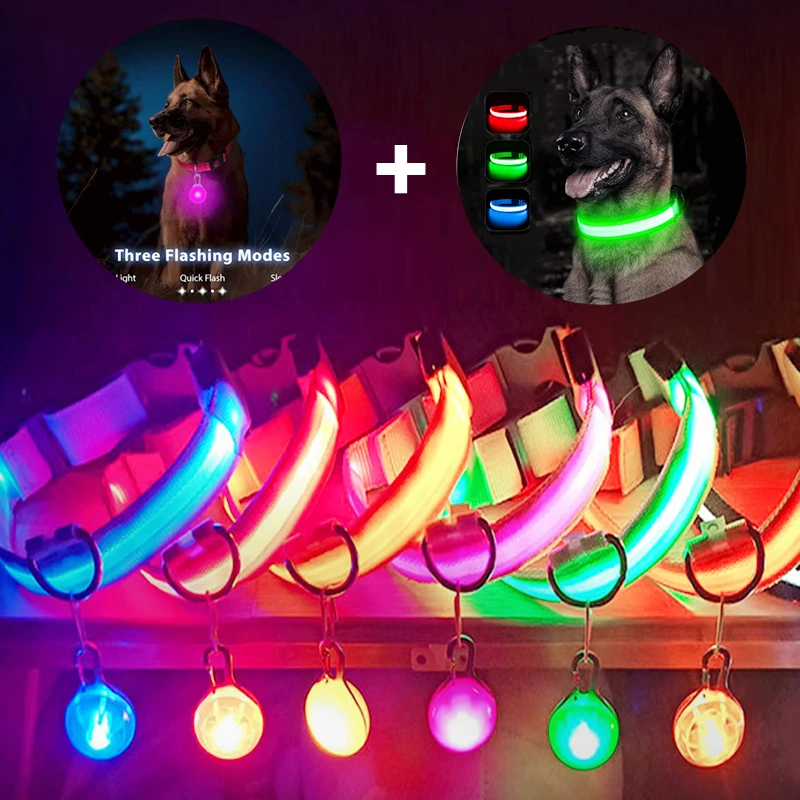 USB-Ladehalsband mit Leuchtfunktion und abnehmbarem Anhänger, luxuriöses LED-Licht, hell, für kleine Hunde und Katzen, Sicherheitshalsband für die Nacht, Großhandel Image