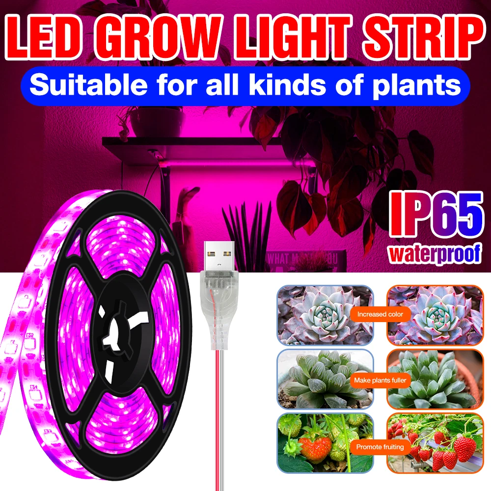 USB Phyto Lampe Led Wachsen Streifen Licht Volle Spektrum Pflanzen Wachstum Licht Gewächshaus Phytolamp für Pflanzen Hydrokultur Wachsen System Image